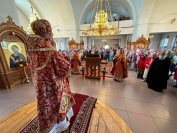 IMG_3179_1