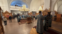 IMG_5135_1