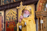 67