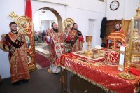 17-Служение епископа Амфилохия в Неделю жен-мироносиц