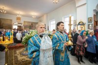 9-Епископ Амфилохий принял участие в престольном торжестве храма в честь иконы Пресвятой Богородицы «Всех скорбящих Радость» Южной столицы