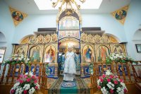 11-Епископ Амфилохий принял участие в престольном торжестве храма в честь иконы Пресвятой Богородицы «Всех скорбящих Радость» Южной столицы