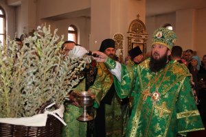 Вход Господень в Иерусалим