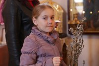 8-Вход Господень в Иерусалим