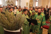 10-Вход Господень в Иерусалим