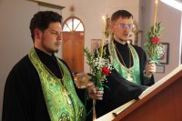 16-Вход Господень в Иерусалим