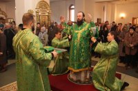 22-Вход Господень в Иерусалим