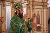 33-Вход Господень в Иерусалим