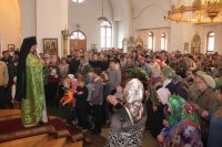 41-Вход Господень в Иерусалим