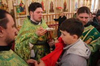 45-Вход Господень в Иерусалим