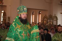 48-Вход Господень в Иерусалим