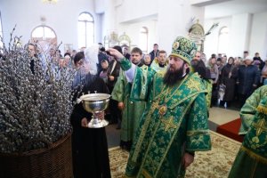 Епископ Амфилохий совершил всенощное бдение в канун праздника Входа Господня в Иерусалим