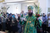 15-Епископ Амфилохий совершил всенощное бдение в канун праздника Входа Господня в Иерусалим