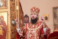 17-Во второй день святок епископ Амфилохий совершил Литургию в Стефаниевском храме села Предгорное