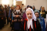 14-Честнаго образа Твоего знамение празднующе. Служение епископа Амфилохия в день памяти иконы Божией Матери «Знамение»