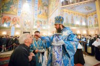 11-Епископ Амфилохий сослужил Главе Православной Церкви Казахстана за Божественной литургией в праздник Сретения Господня