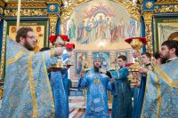 23-Епископ Амфилохий сослужил Главе Православной Церкви Казахстана за Божественной литургией в праздник Сретения Господня