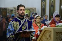 12-Радуйся, Пречистая, весь мир рождеством Своим возвеселившая