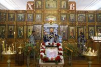 17-Радуйся, Пречистая, весь мир рождеством Своим возвеселившая