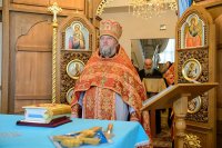3-Епископ Амфилохий принял участие в заседании Синода Митрополичьего округа Русской Православной Церкви в Республике Казахстан