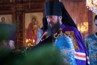 25-Служение епископа Амфилохия в день Собора Пресвятой Богородицы