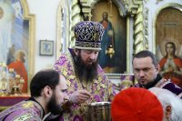 33-«Пустынный житель и в телеси Ангел и чудотворец явился еси, богоносе отче наш Иоанне». Служение епископа Амфилохия в Неделю четвертую Великого поста