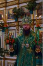 28-Служение епископа Амфилохия в канун дня Святой Троицы
