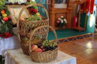 37-Преобразился еси на горе, Христе Боже. Престольный праздник Спасо-Преображенского храма города Шемонаиха.