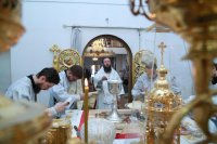 14-Служение епископа Амфилохия в Лазареву Субботу