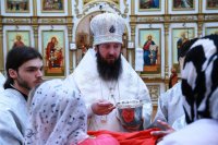20-Служение епископа Амфилохия в Лазареву Субботу