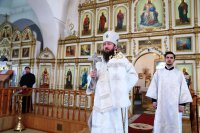 22-Служение епископа Амфилохия в Лазареву Субботу
