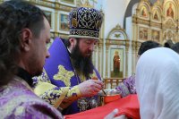 22-«Вечери Твоея Тайныя днесь, Сыне Божий, причастника мя приими». Божественная Литургия в день установления Таинства Евхаристии