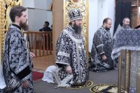 7-«Ныне силы Небесные с нами невидимо служат». В Свято-Андреевском кафедральном соборе совершена первая Литургия Преждеосвященных Даров.