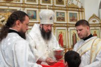 26-Служение епископа Амфилохия в день Троицкой родительской субботы