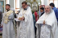 38-Служение епископа Амфилохия в день Троицкой родительской субботы
