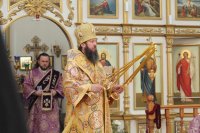 15-«Пречистому образу Твоему покланяемся, Благий». Служение епископа Амфилохия в день Торжества Православия