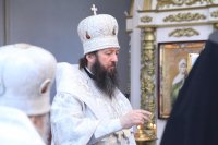 3-Служение епископа Амфилохия в Лазареву Субботу