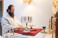 9-Служение епископа Амфилохия в Лазареву Субботу