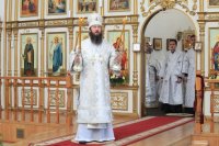 11-Служение епископа Амфилохия в Лазареву Субботу