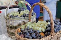 51-Преображение Господа Бога и Спаса нашего Иисуса Христа