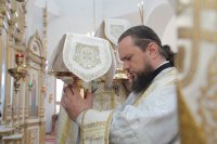 28-Служение епископа Амфилохия в Неделю 11-ю по Пятидесятнице