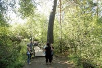 46-Празднование в честь Знаменско-Абалацкой иконы Божией Матери. Божественная Литургия на Святом Ключе