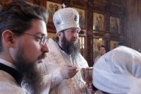 28-Служение епископа Амфилохия в день Собора Пресвятой Богородицы