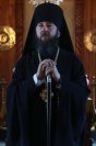 49-Служение епископа Амфилохия в Неделю 11-ю по Пятидесятнице