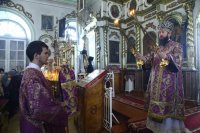 22-Служение епископа Амфилохия в Неделю 4-ю Великого поста