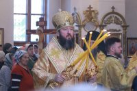 10-Служение епископа Амфилохия в Неделю святых праотец