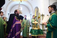 12-Служение епископа Амфилохия в канун праздника Входа Господня в Иерусалим