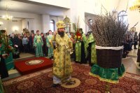 22-Служение епископа Амфилохия в канун праздника Входа Господня в Иерусалим