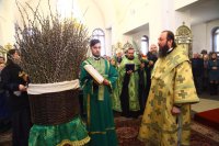 24-Служение епископа Амфилохия в канун праздника Входа Господня в Иерусалим