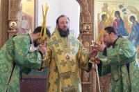 11-Служение епископа Амфилохия в день памяти преподобного Серафима Саровского